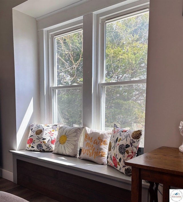 living area featuring wood finished floors