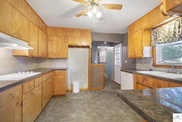 909 Ruth Ann Dr, Sedalia, MO 65301 - photo 5