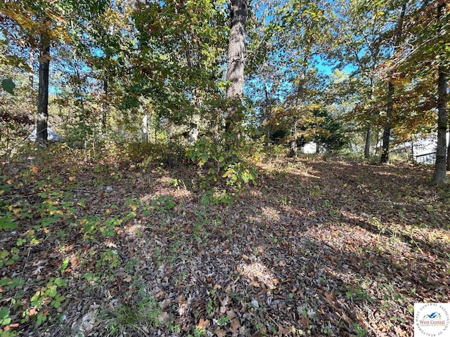 TBD Ab Highway, Lincoln, MO 65338