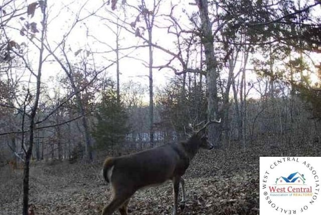 TBD Ab Highway, Lincoln, MO 65338