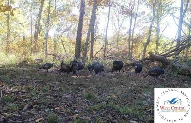 TBD Ab Highway, Lincoln, MO 65338