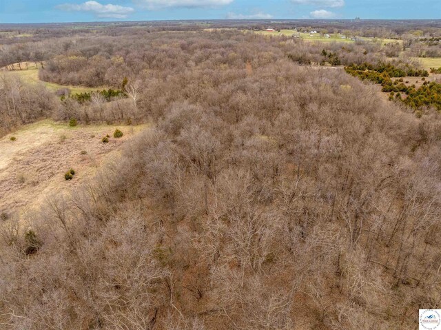 TBD Main Rd, Sedalia, MO 65301 - photo 23