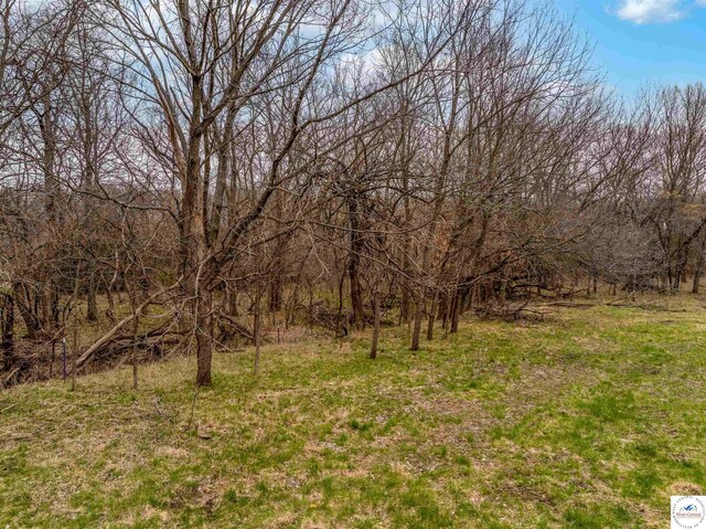 TBD Main Rd, Sedalia, MO 65301 - photo 39