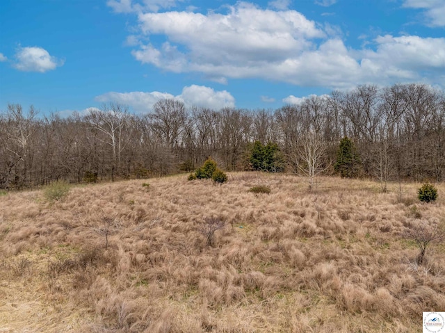 TBD Main Rd, Sedalia, MO 65301 - photo 43