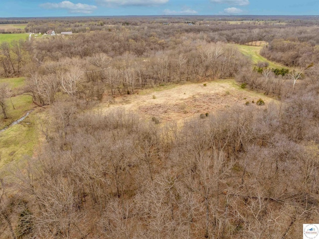 TBD Main Rd, Sedalia, MO 65301 - photo 24