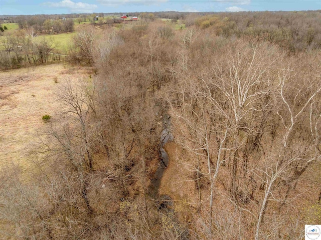TBD Main Rd, Sedalia, MO 65301 - photo 29