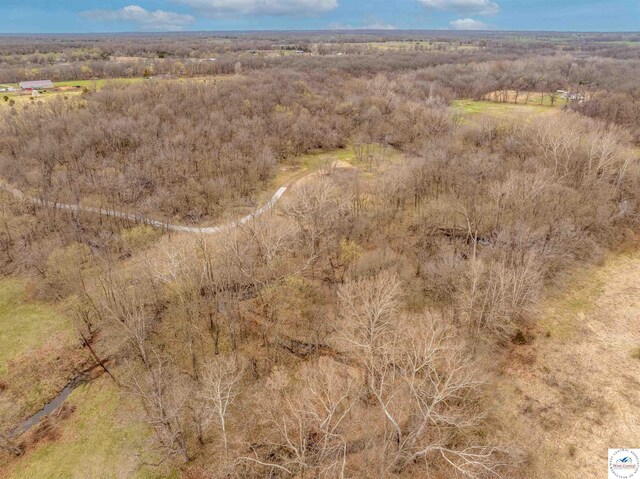 TBD Main Rd, Sedalia, MO 65301 - photo 21