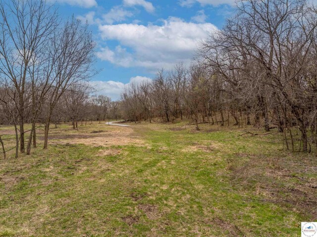 TBD Main Rd, Sedalia, MO 65301 - photo 40