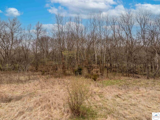 TBD Main Rd, Sedalia, MO 65301 - photo 45