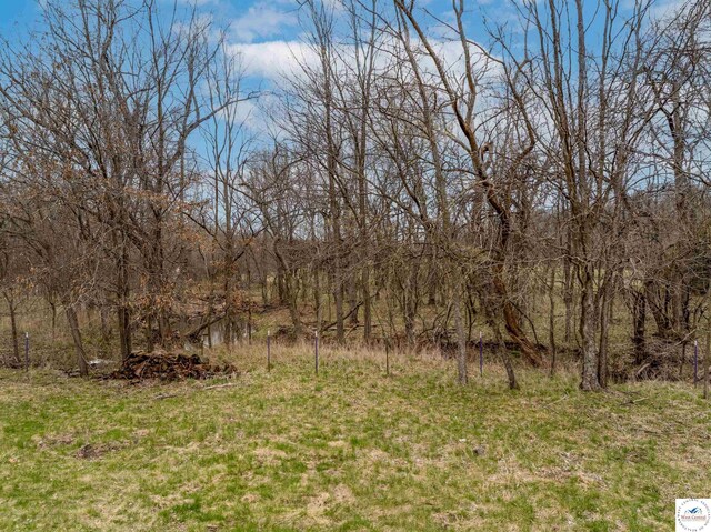TBD Main Rd, Sedalia, MO 65301 - photo 38