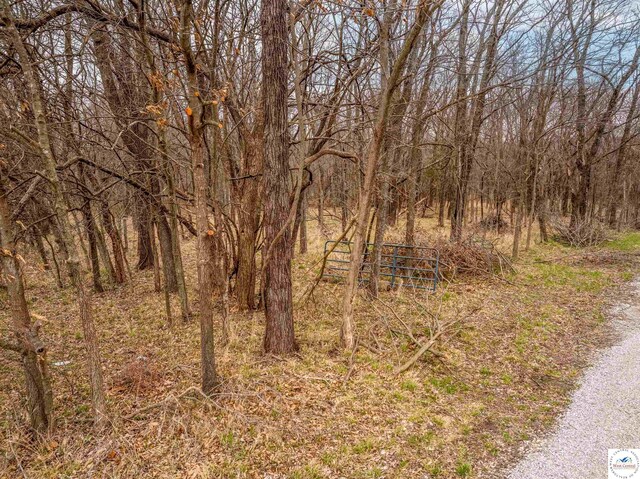 TBD Main Rd, Sedalia, MO 65301 - photo 32