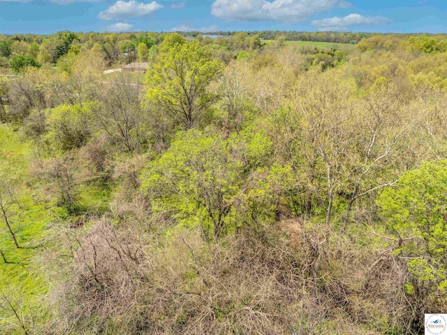 Sacajawea Rd, Sedalia, MO 65301 - photo 30