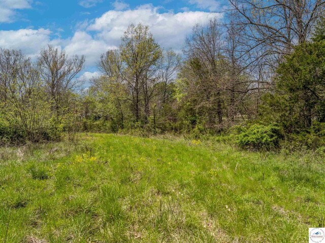Sacajawea Rd, Sedalia, MO 65301 - photo 48