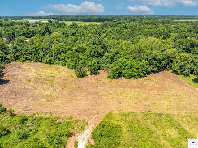 Sacajawea Rd, Sedalia, MO 65301 - photo 63