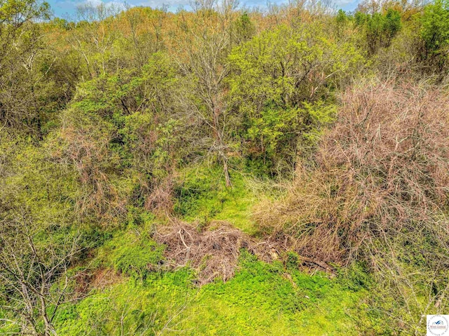 Sacajawea Rd, Sedalia, MO 65301 - photo 33