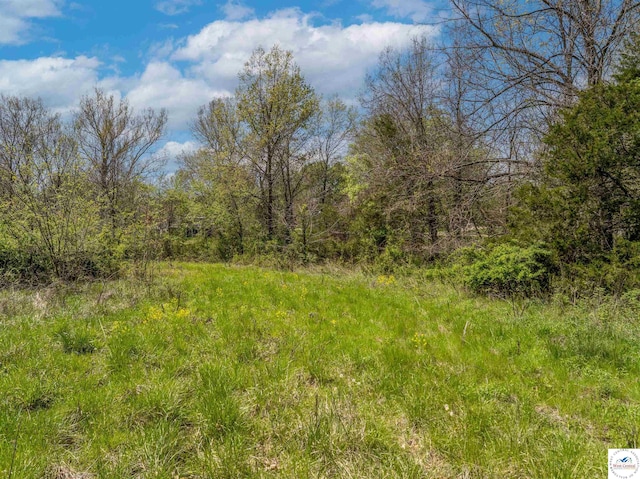 Sacajawea Rd, Sedalia, MO 65301 - photo 54