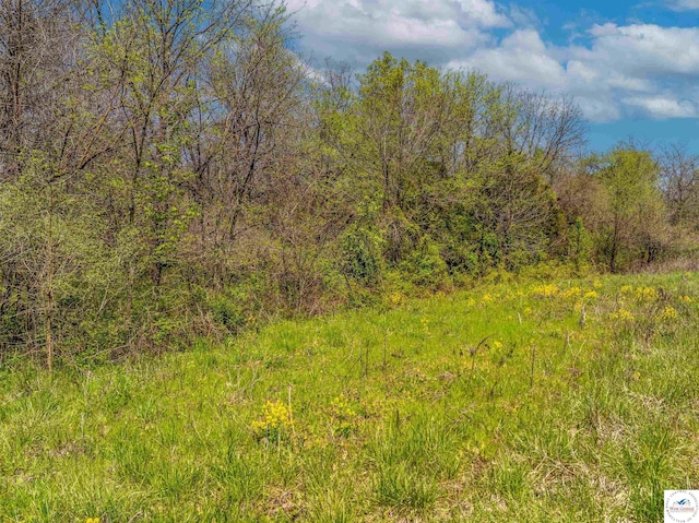 Sacajawea Rd, Sedalia, MO 65301 - photo 55