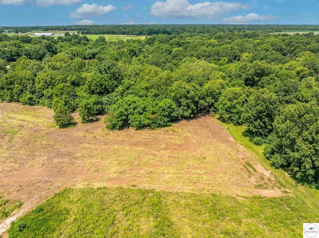 Sacajawea Rd, Sedalia, MO 65301 - photo 64
