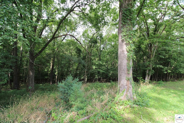 view of landscape with a view of trees
