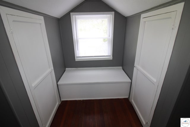 interior space with lofted ceiling and wood finished floors