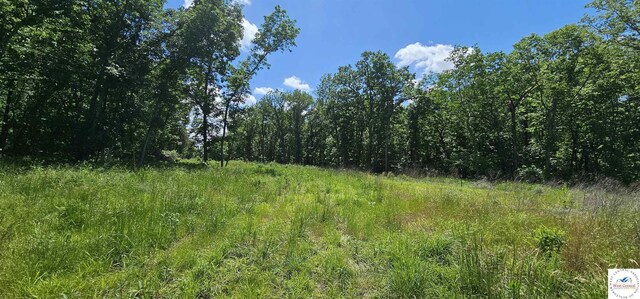 LOT1 Main Rd, Sedalia, MO 65301