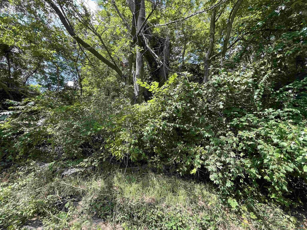 600 W Henry St, Sedalia, MO 65301 - photo 1