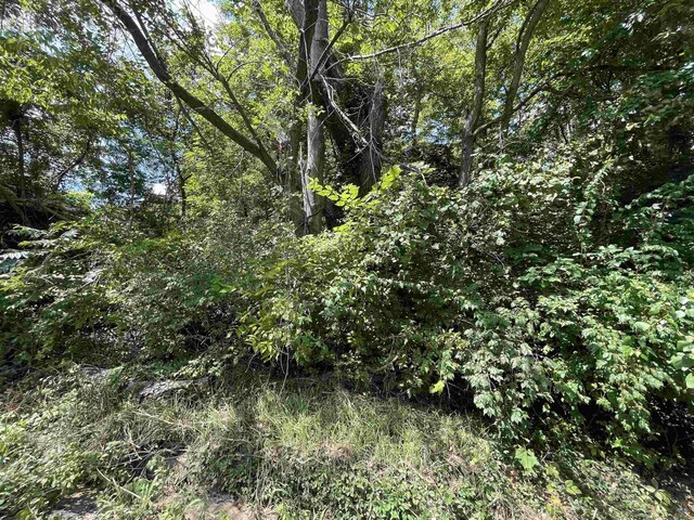 600 W Henry St, Sedalia, MO 65301 - photo 1