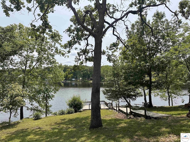 32031 Barclay Loop, Warsaw, MO 65355 - water view