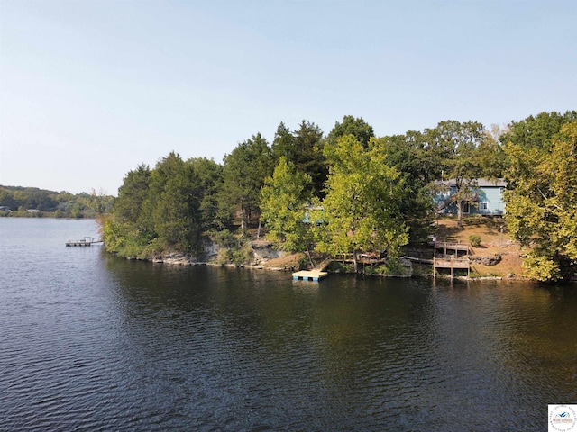 property view of water