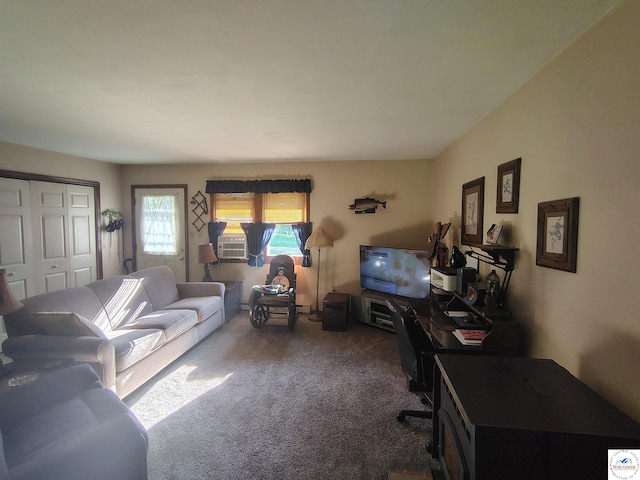 29620 Blue Grass Rd, Edwards, MO 65326 - carpeted living area with cooling unit