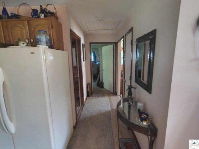 29620 Blue Grass Rd, Edwards, MO 65326 - hallway with light carpet