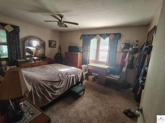 29620 Blue Grass Rd, Edwards, MO 65326 - bedroom featuring multiple windows, carpet floors, and a ceiling fan