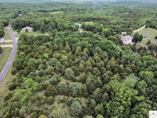 2.4ACRES Cedar Gate Dr, Warsaw, MO 65355