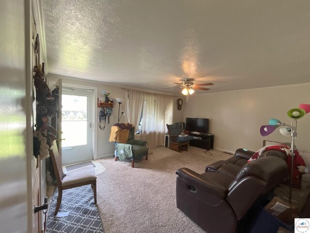 400 N Park Ave, Sedalia, MO 65301 - photo 8