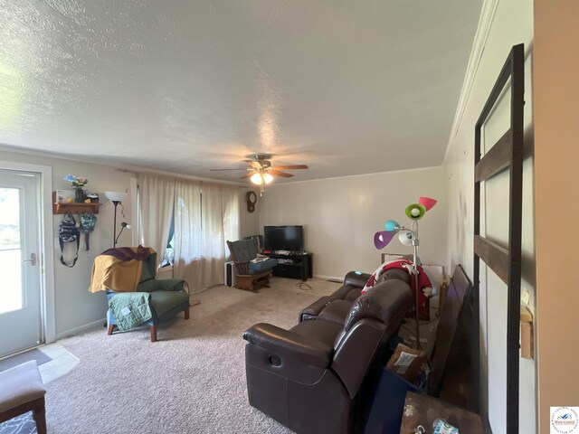 400 N Park Ave, Sedalia, MO 65301 - photo 9