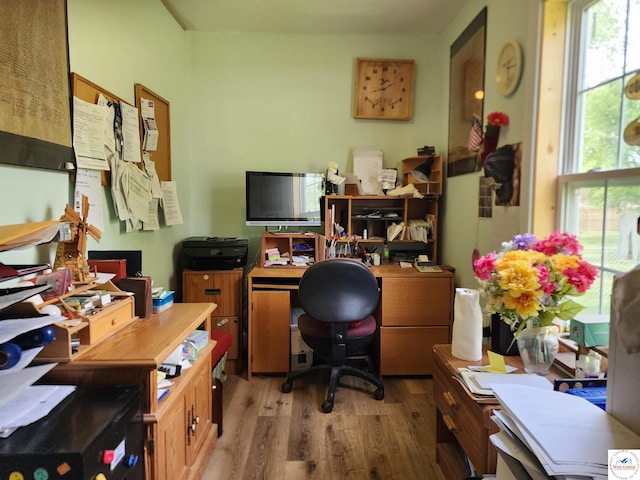 office featuring wood finished floors