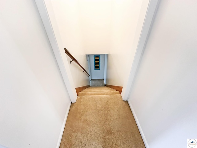 28801 Herbs Rd, Lincoln, MO 65338 - staircase with carpet floors and baseboards