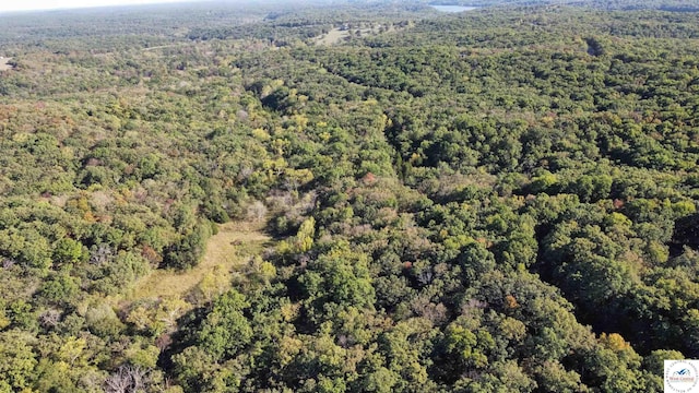 80ACRES Fair Oaks Dr, Lincoln, MO 65338 - photo 5