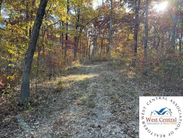 80ACRES Fair Oaks Dr, Lincoln, MO 65338 - photo 17