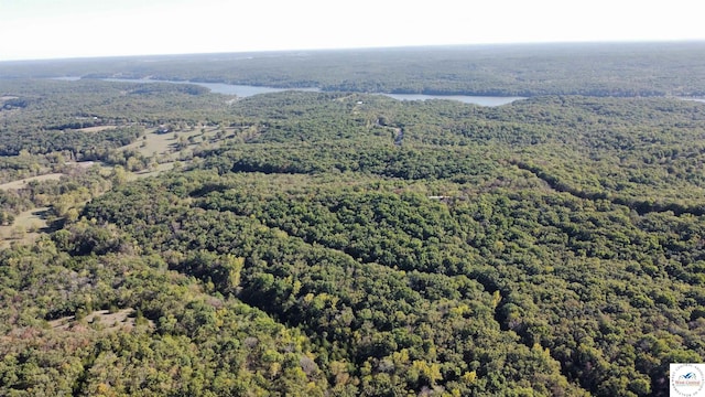 80ACRES Fair Oaks Dr, Lincoln, MO 65338 - photo 7