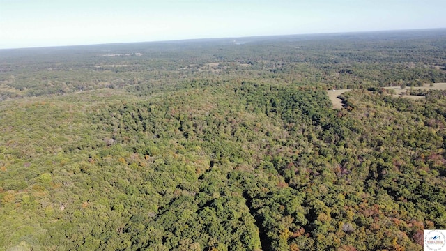 80ACRES Fair Oaks Dr, Lincoln, MO 65338 - photo 6