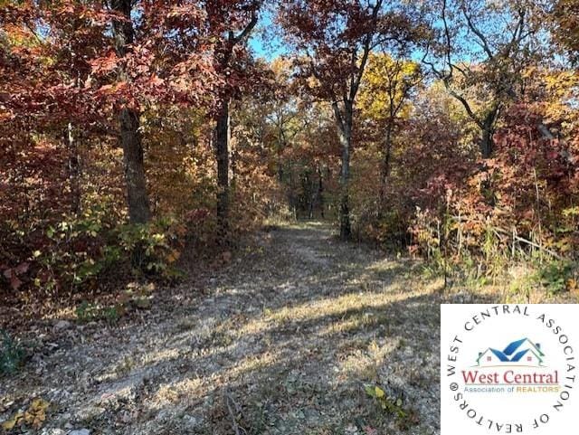 80ACRES Fair Oaks Dr, Lincoln, MO 65338 - photo 1