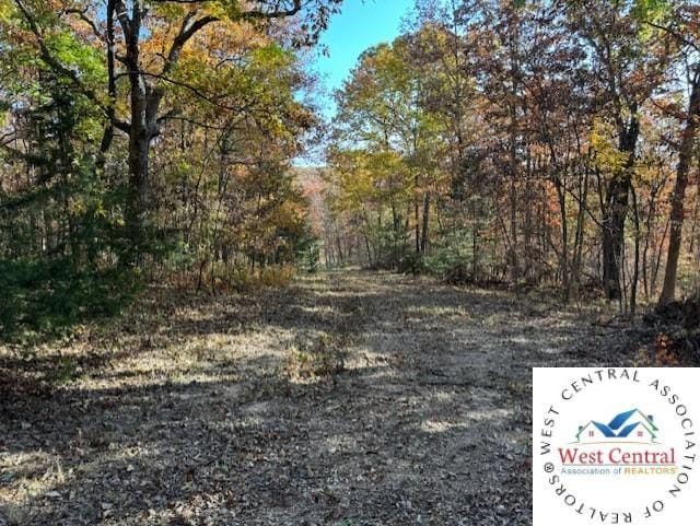 80ACRES Fair Oaks Dr, Lincoln, MO 65338 - photo 13
