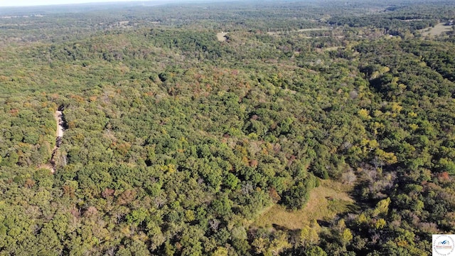 80ACRES Fair Oaks Dr, Lincoln, MO 65338 - photo 21