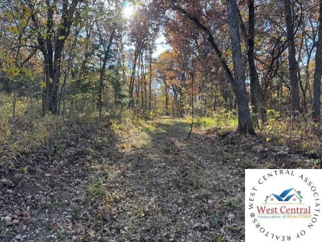 80ACRES Fair Oaks Dr, Lincoln, MO 65338 - photo 15