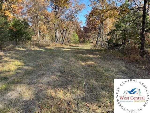 80ACRES Fair Oaks Dr, Lincoln, MO 65338 - photo 16