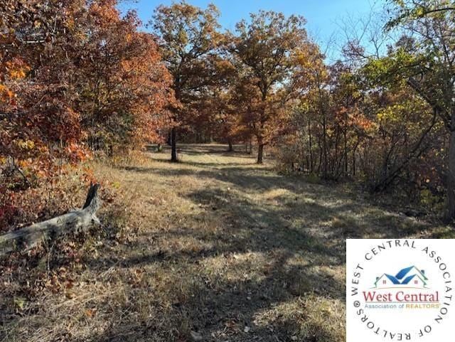 80ACRES Fair Oaks Dr, Lincoln, MO 65338 - photo 18