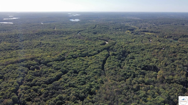 80ACRES Fair Oaks Dr, Lincoln, MO 65338 - photo 20