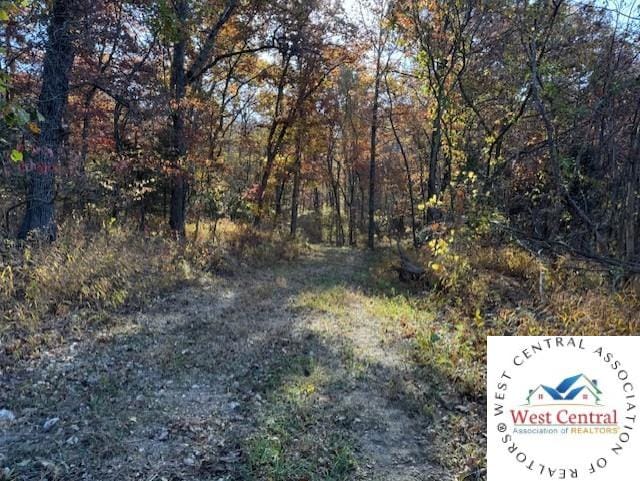 80ACRES Fair Oaks Dr, Lincoln, MO 65338 - photo 14