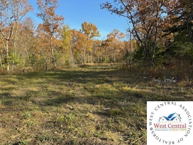 80ACRES Fair Oaks Dr, Lincoln, MO 65338 - photo 3